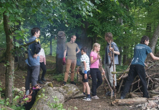 Holz sammeln