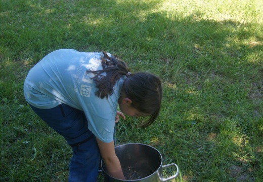 Wasser sammeln