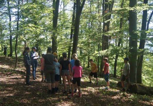 Geländespiel im Wald