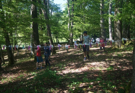 Geländespiel im Wald