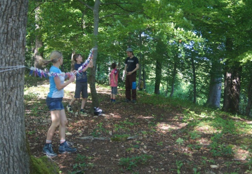 Geländespiel im Wald
