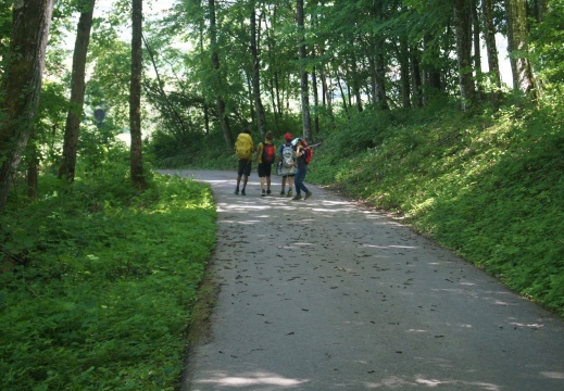 Unterwegs zum Abholplatz