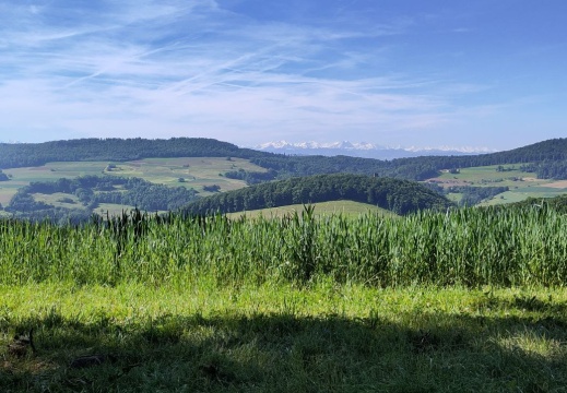 Aussicht Schenkenbergertal