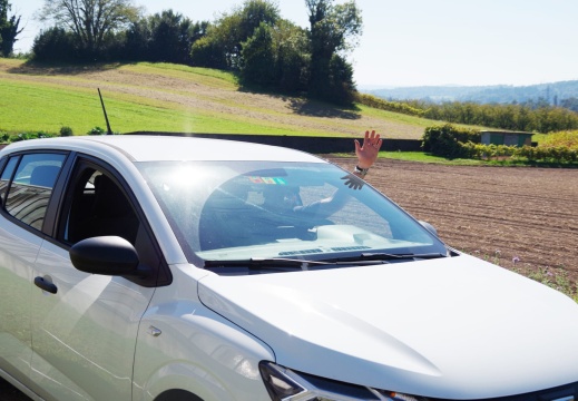 Falk sitzt im Auto