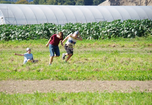 Kinder beim Wagen-Rennen