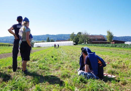 Pelikan und Kinder stehen auf der Wiese