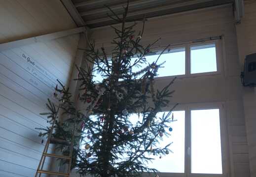 Weihnachtsbaum von unten