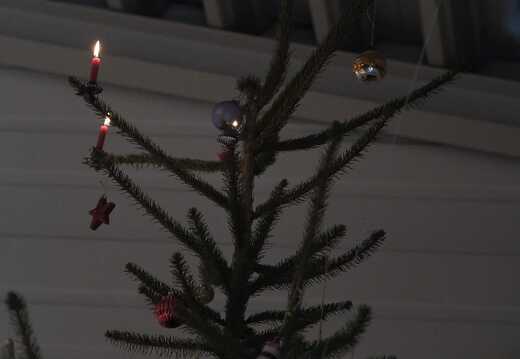 Weihnachtsbaum im Gottesdienst