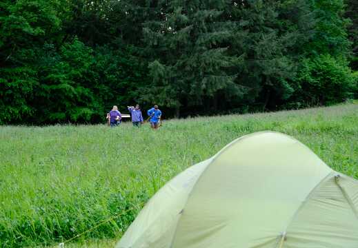 Kinder holen Feuerholz
