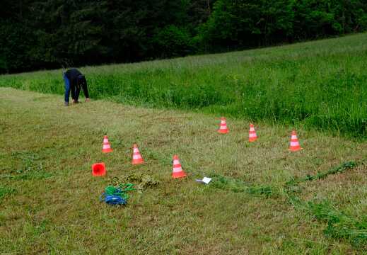 Lauf-Stafette aufstellen