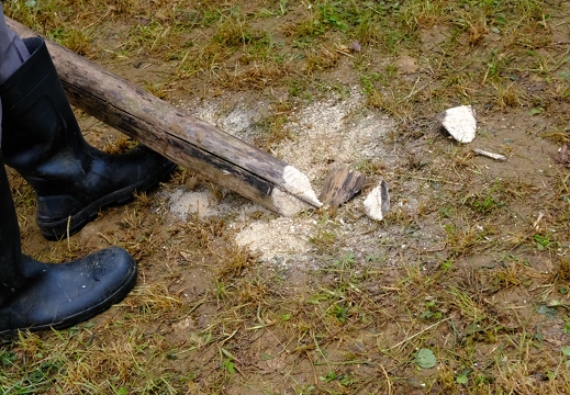 Angespitzter Holzstamm